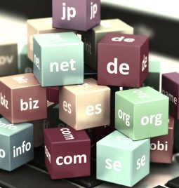 How to Choose a Domain Name?